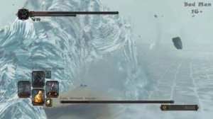 Dark Souls 2 - #31 - Аава, питомец короля.