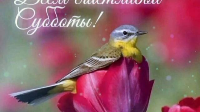 Мир вашему дому!!! ?Счастливой субботы!!!? Христианское пожелание? смотреть онлайн