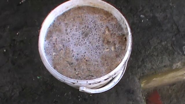 Подготовка опилок для посадки семян смотреть онлайн