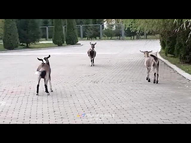 7 октября 2022 г. смотреть онлайн