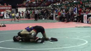 132 q, Ronnie Pietro, Vandalia Butler vs Joshua Breeding, Elyria