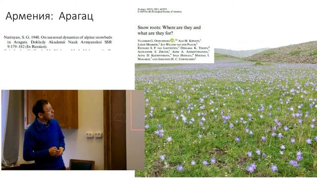 Снежные корни смотреть онлайн