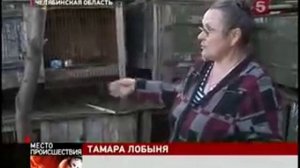 Неведомый зверь выпивает кровь у домашних животных.