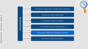 Технология 8 класс (Урок№4 - Основные виды сельскохозяйственных и информационных технологий.)