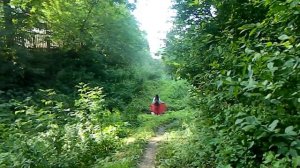 Андро вердас