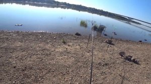 Ловля леща на фидер . Река . Лещ . Фидер .