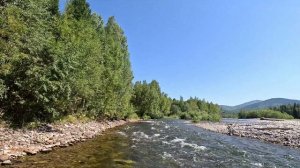 приток Амыла