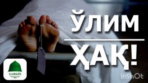 улим бор улим нашида