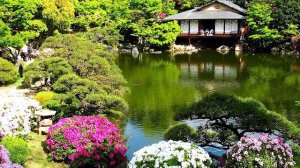 Японский сад, практика создания; создание Японского сада; анонс курса лекций в Ботаническом саду сп