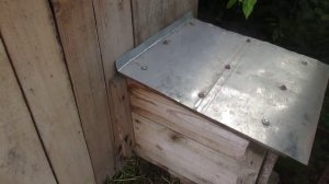 Осмотр крольчат после окрола!