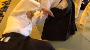 Номура Наоми Семинар 2019 Россия