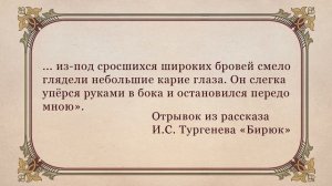 Рассказ И.С. Тургенева «Бирюк». Видеоурок по литературе 7 класс