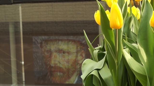 Amsterdam Top 10 Things to See & Do смотреть онлайн