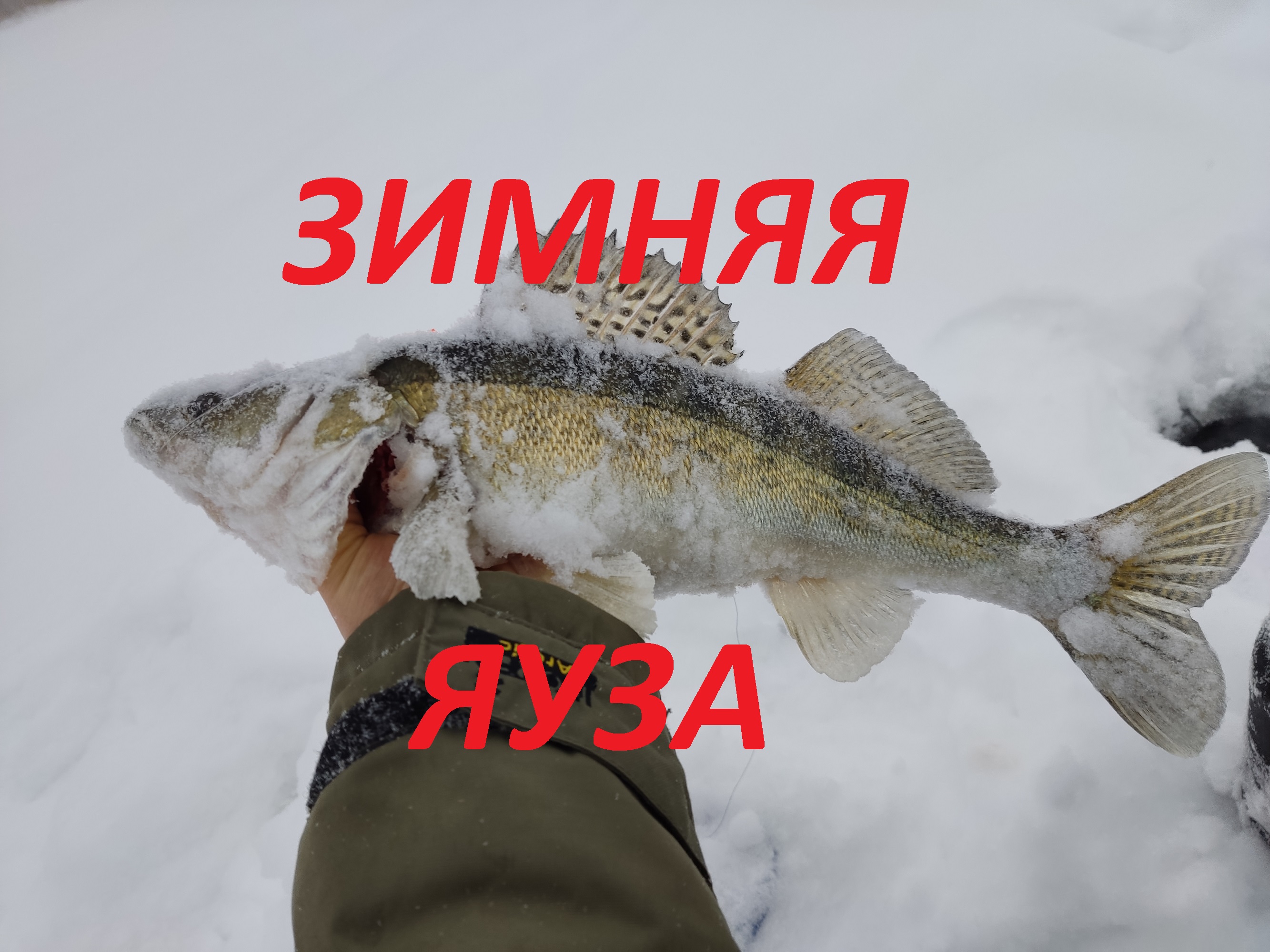 СУДАК. ИНДЕЙКА. МЕТЕЛЬ. БЕЗКИВОЧКА. ИЗВЕСТНЫЙ БЛОГЕР. ЧАСТЬ 1.
