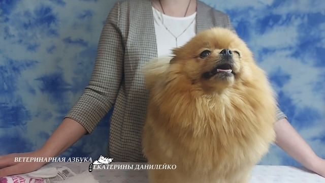 Промывание глаз смотреть онлайн