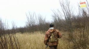 ВЗЯЛИ НОРМУ ЗА 1,5 ЧАСА.(ОХОТА НА ЗАЙЦА) СЕЗОН 2017 -2018.mp4