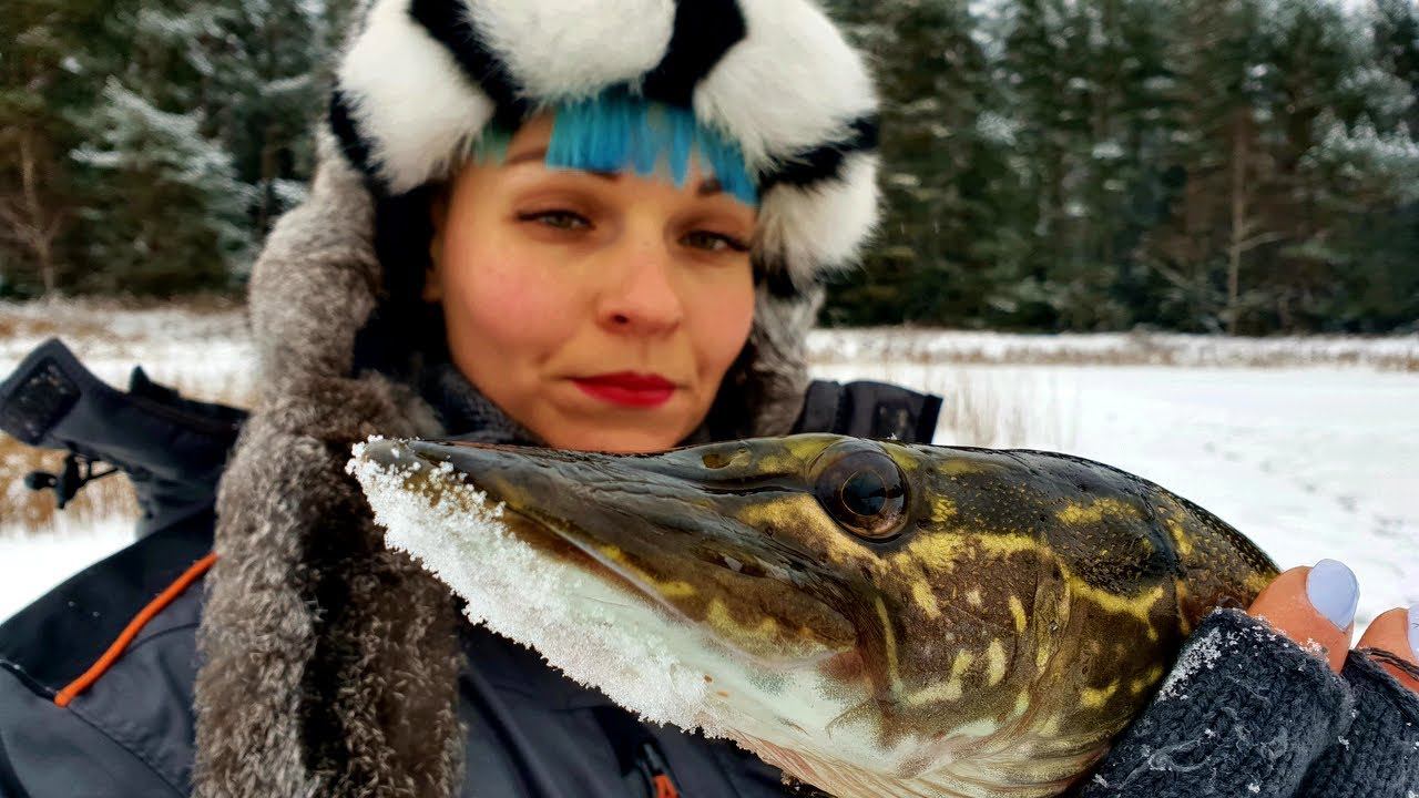ЛОМАЮ ЛЕДОБУР!!! Щуки звереют - РВУТ ЛЕСКУ! ОКУНЬ НА БАЛАНСИР #79