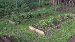 Монтирую рабицу. Делаем высокую теплую грядку.