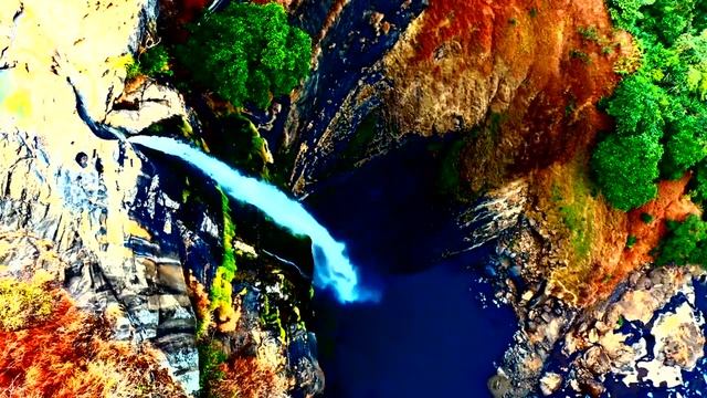 ? Sound therapy  Sounds of nature Meditation A relaxing forest morning  Birds chirping Sleep music