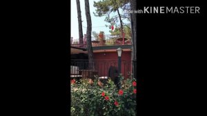 GRAND YAZICI CLUB TURBAN 5* Обзор отеля