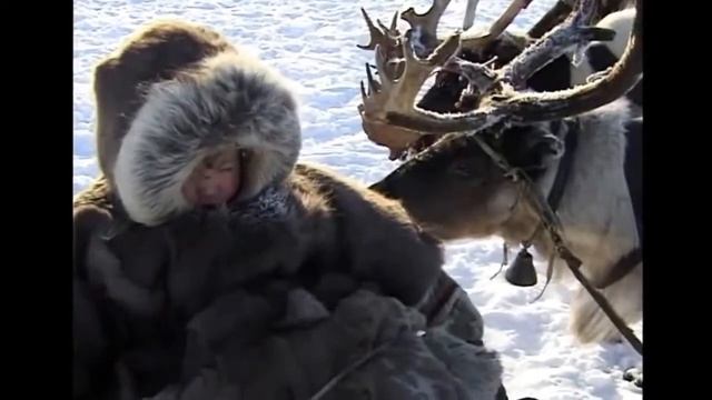 Ненцы//  Удивительное путешествие в Тундру по Ямалу