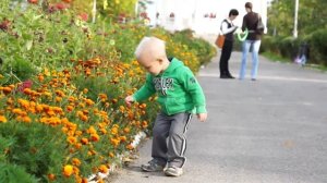 Ребенок рвет цветы на клумбе! Куда смотрят родители?