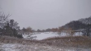 Разочарование года Роза Шпатель