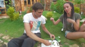 Алоэ это лучшее средство от ожогов