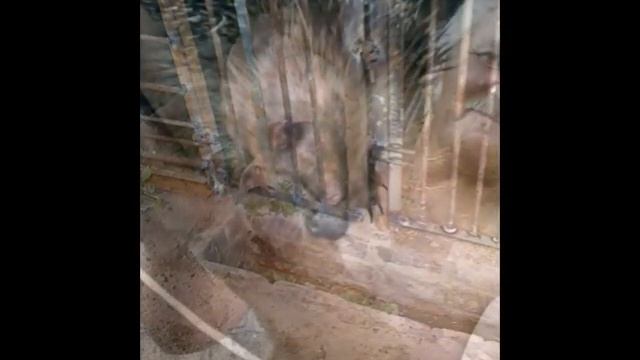 Деревня смотреть онлайн