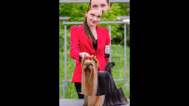 У Темыча сегодня Днюшка! смотреть онлайн