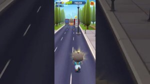 Том бег за золотом. Я поймал енота.