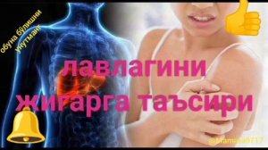 ЛАВЛАГИНИ ИНСОН ОРГАНИЗМИГА ФОЙДАСИ.    LAVLAGINI FOYDASI.