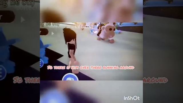 WHAT PEOPLE GIVE FOR SNOW OWL!ЧТО ЛЮДИ ДАЮТ ЗА СНЕЖНУЮ СОВУ! смотреть онлайн