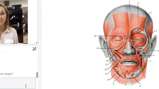 Ельчищева Анастасия - Фейсбилдинг смотреть онлайн