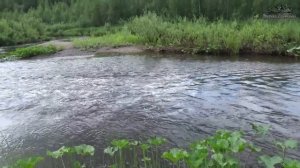В поисках золотой россыпи.