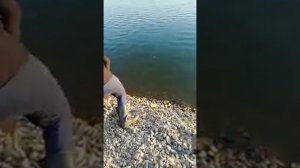 Ловлю огромного тайменя