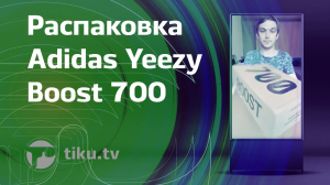 Adidas Yeezy Boost 700
