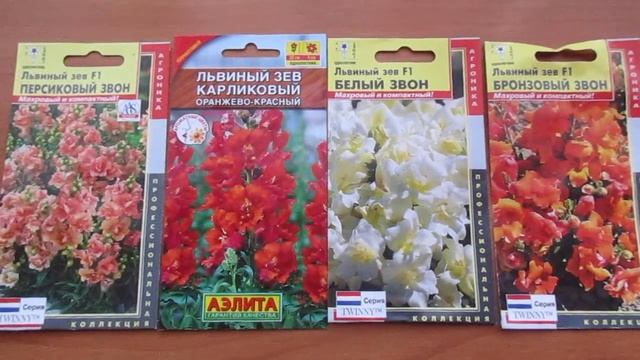 АНТИРРИНУМ ИЛИ ЛЬВИНЫЙ ЗЕВ смотреть онлайн