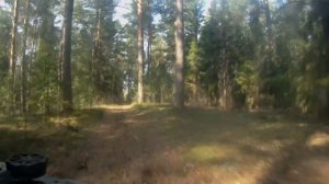 Медведский Бор 030516