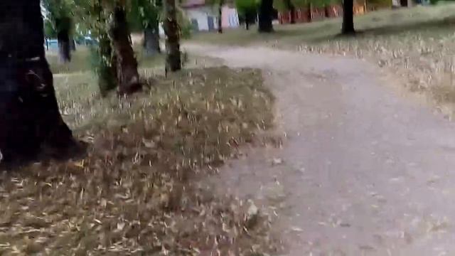 Бобруйск, стадион и парк суббота сентябрь 2016 смотреть онлайн