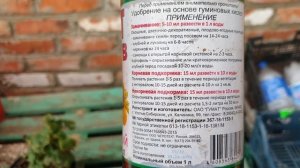 Клубника на гидропонике. Гидропоника с алиэкспресс