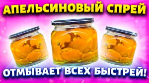 Липкий налёт и грязь на кухне отмываю за 5 минут с помощью самодельного уксуса из цитрусовых корок.
