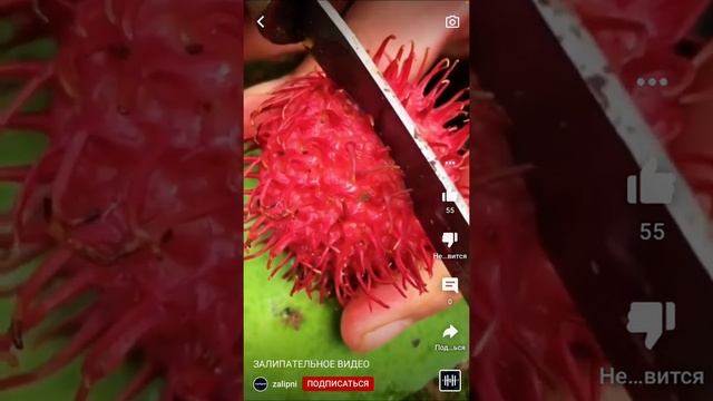 Самые залепательные видео
