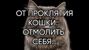 ОТ ПРОКЛЯТИЯ КОШКИ…ОТМОЛИТЬ СЕБЯ…ДЛЯ ВСЕХ…