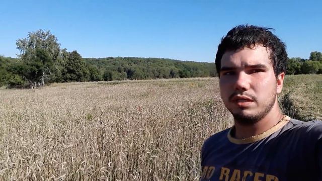 Уборка пшеницы - второе поле смотреть онлайн