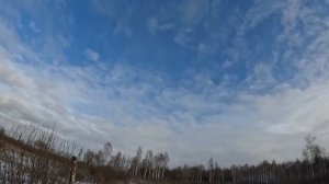 Охота на Зайца с гончей и дратхааром