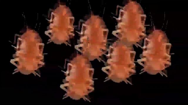 Все животные и не толькоустроили танц батл под SLAWA MARLOW