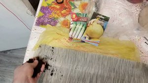 Посадка лука порея в улитку