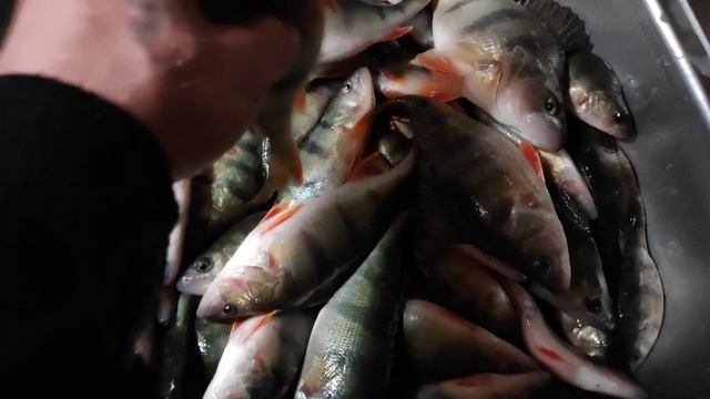 Окуни- кони, рвут лески! смотреть онлайн