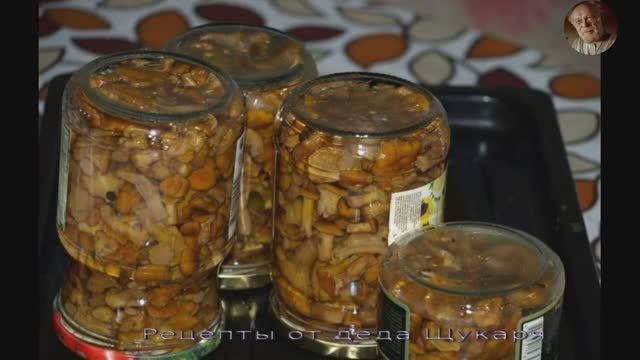 Жареные опята на зиму от деду Щукаря смотреть онлайн